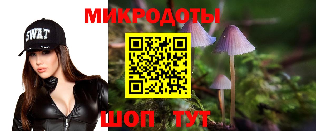 Галлюциногенные грибы GOLDEN TEACHER  Галлюциногенные грибы GOLDEN TEACHER  где продают наркотики  Миасс  Вход с VPN 